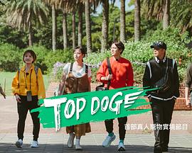 黑料社《TOP DOG》免费在线观看