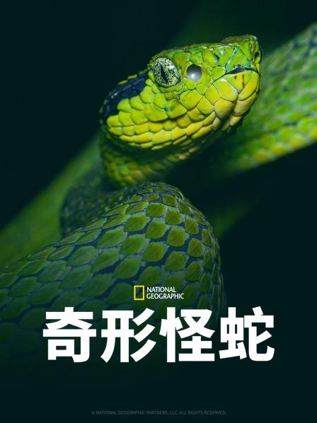 黑料社app《奇形怪蛇》免费在线观看